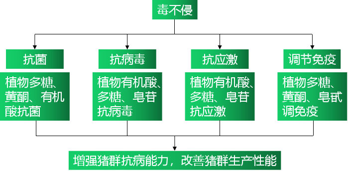 6115c976a08d6 6115c976a08d6