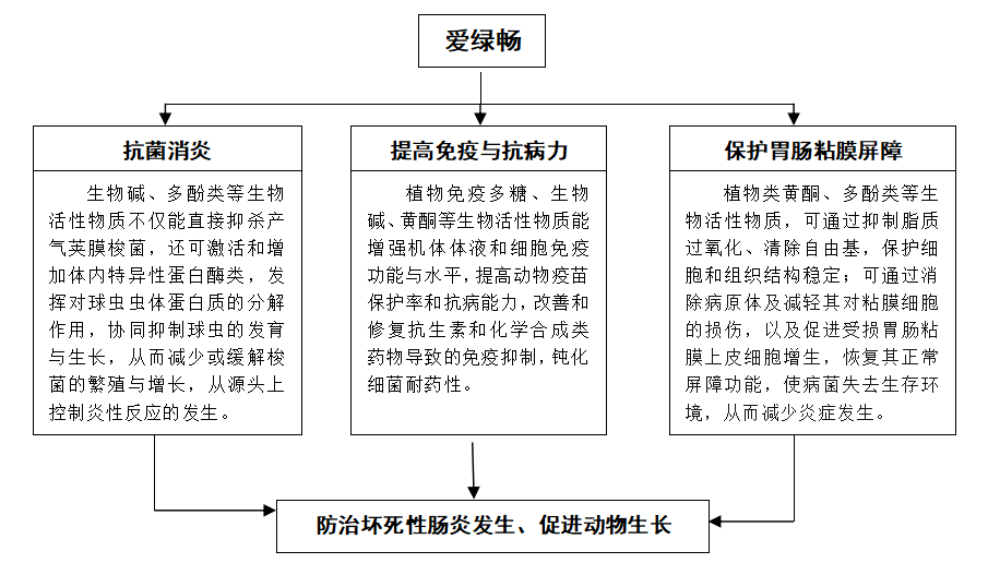 6115cf3a7284c 6115cf3a7284c