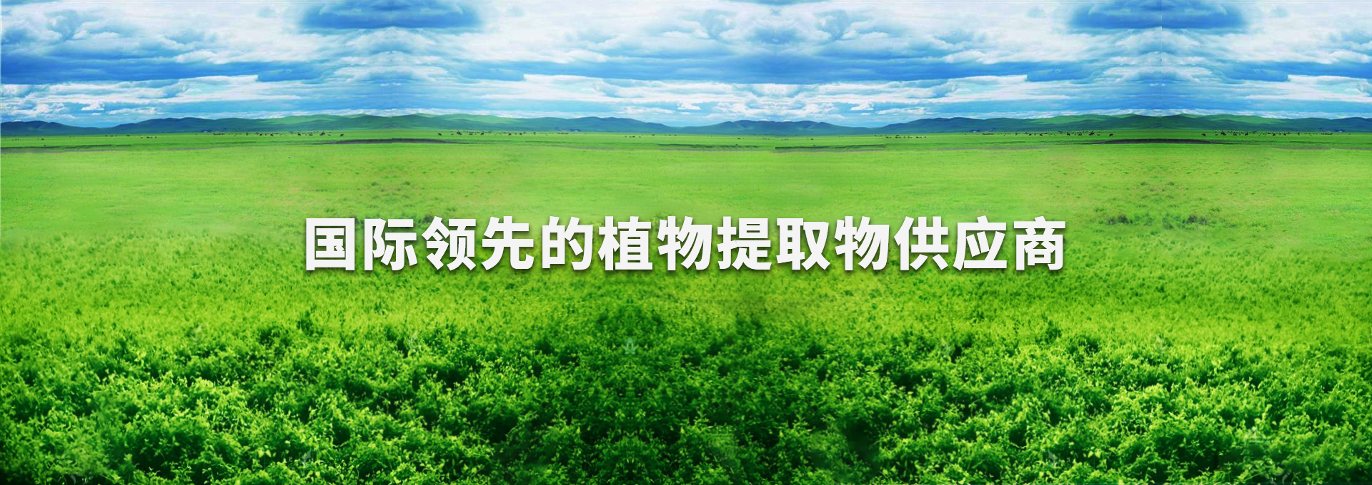 NG官网 - 相信品牌的力量