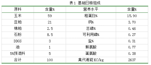 61dfdde0a84a2 61dfdde0a84a2