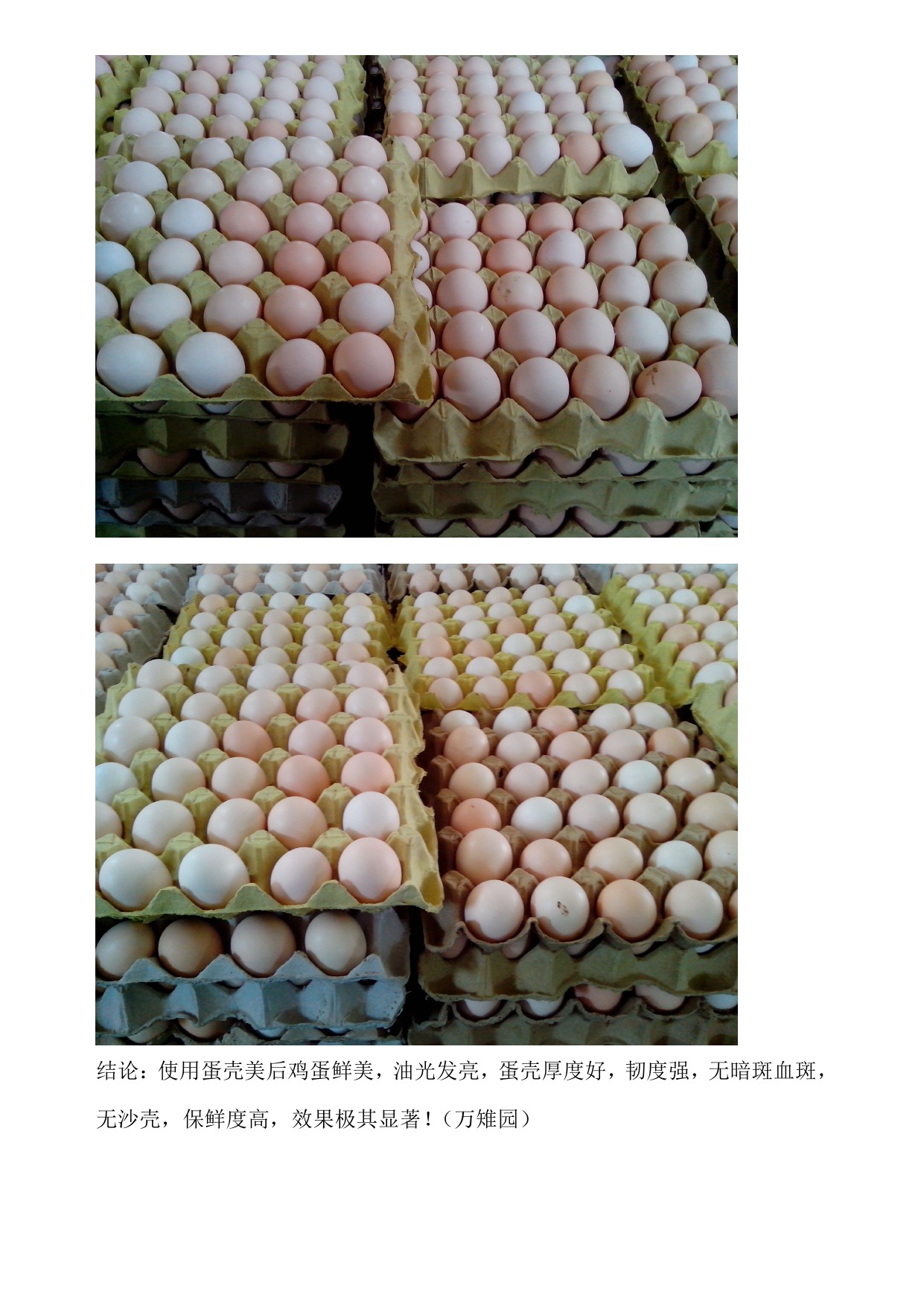 NG官网 - 相信品牌的力量