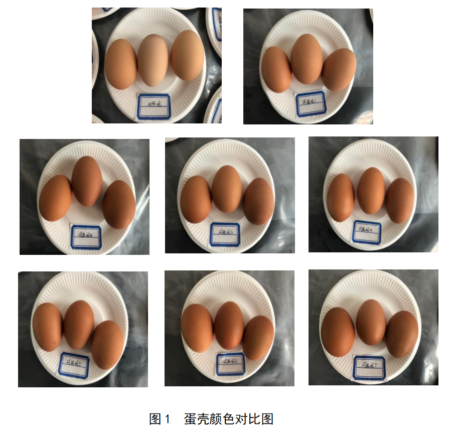 NG官网 - 相信品牌的力量