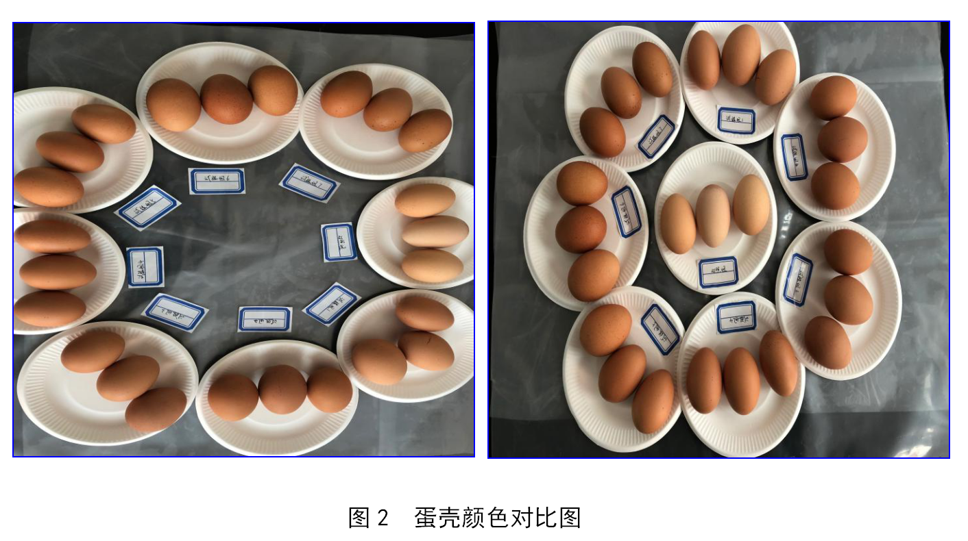 NG官网 - 相信品牌的力量