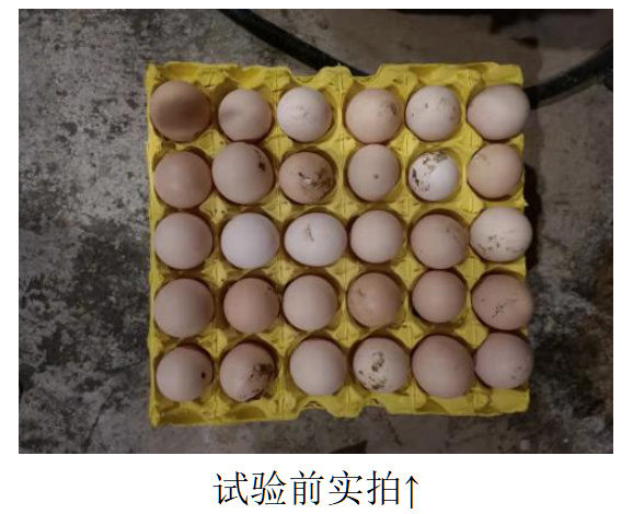 NG官网 - 相信品牌的力量